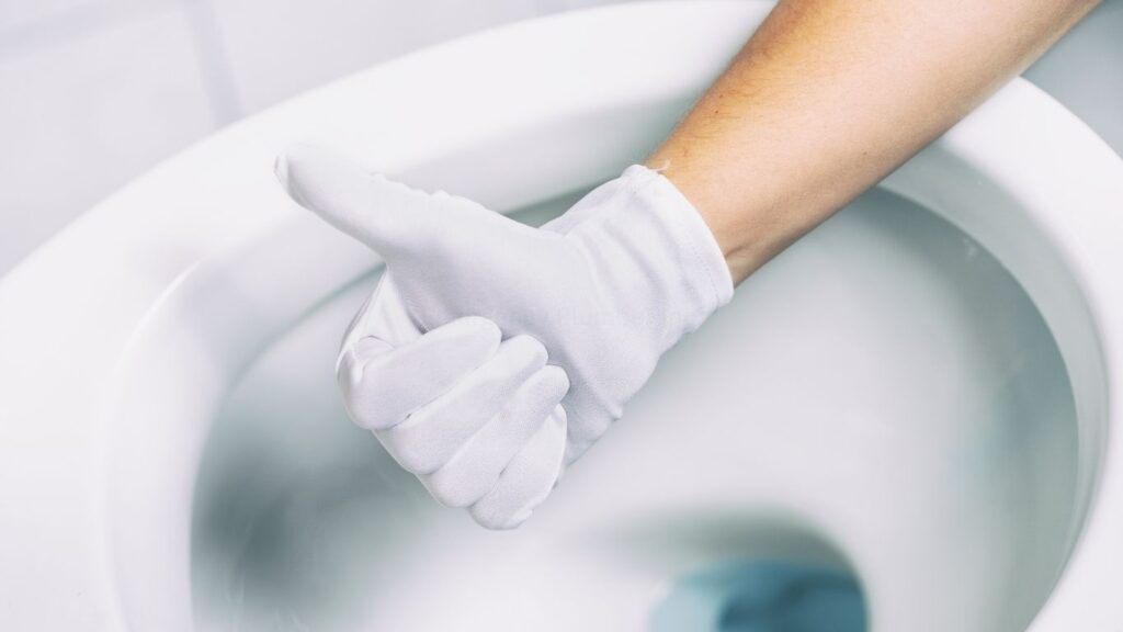 toilet repair and maintenance services