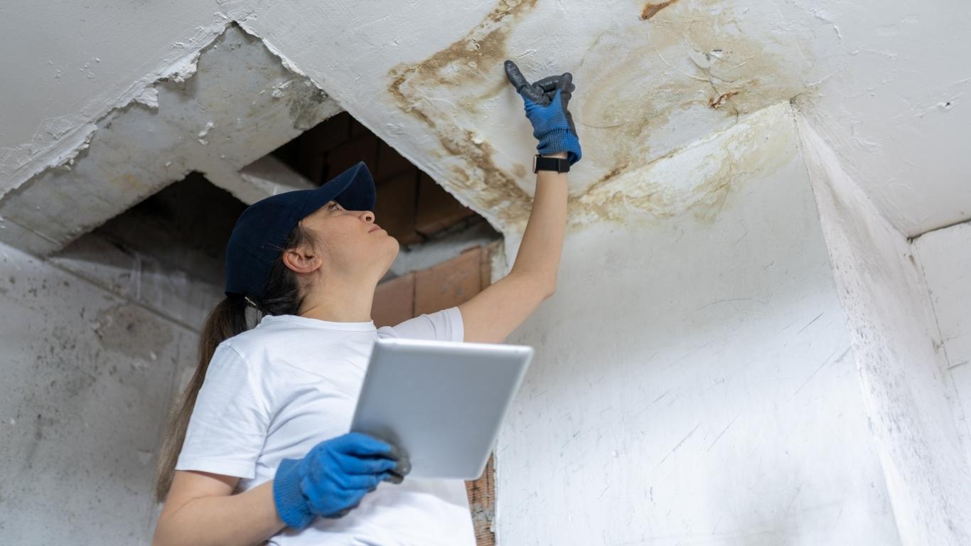 water damage restoration services.